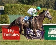 All Eyes on Champion Wait a While in Honey Fox All Eyes on Champion Wait a While in Honey Fox