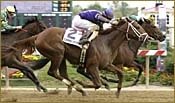 Belong to Sea Wins Miss Preakness Stakes, Remains Undefeated Belong to Sea Wins Miss Preakness Stakes, Remains Undefeated