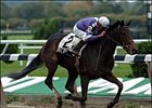 Toll Taker, Flamenco Take Belmont Stakes Toll Taker, Flamenco Take Belmont Stakes