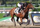 Awesome Feather returns with a victory in the Le Slew Stakes.<br><a target="blank" href="http://www.bloodhorse.com/horse-racing/photo-store?ref=http%3A%2F%2Fpictopia.com%2Fperl%2Fgal%3Fprovider_id%3D368%26ptp_photo_id%3D9694075%26ref%3Dstory">Order This Photo</a>