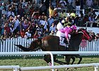 Canadian-bred Sterwins furnished a last-to-first rally to win the Gold Cup at the Garrison Savannah racecourse in Bridgetown, Barbados.