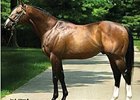 Stormy Atlantic Stays at $45,000 Stormy Atlantic Stays at $45,000