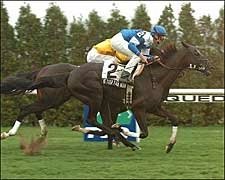 With Velazquez Named, Better Talk Now Appears Million Bound With Velazquez Named, Better Talk Now Appears Million Bound