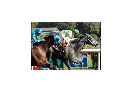 Honey Ryder, left, captures the Glens Falls Stakes ahead of Film Maker on closing day at Saratoga.