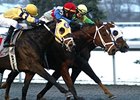 Timeless Fashion (center #5) outfinishes Stately Victor (right) and Ordination to win the Prairie Bayou.