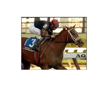 Miraculous Miss wins the Valley Stream at Aqueduct.