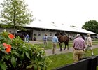 Fasig-Tipton July