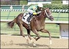 Limehouse, bypassing the Preakness.