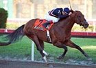 Richter Scale, ridden by Richard Migliore, shown here winning the 2000 Gulfstream Park Breeders' Cup Sprint Championship.