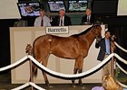 Barretts' first Del Mar sale was held last May