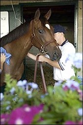At Mid-Point, Keeneland Sale Surpasses 2003 Total At Mid-Point, Keeneland Sale Surpasses 2003 Total