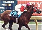 Canadian Horse of the Year, Wake At Noon.