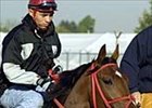 Afleet Alex continues on path to recovery with second good work in a week's time.