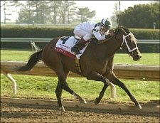 Sis City Returns to Action in Delaware Oaks Sis City Returns to Action in Delaware Oaks