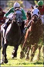 Fair Grounds Racing Report: Tijiyr Posts Upset Victory Fair Grounds Racing Report: Tijiyr Posts Upset Victory
