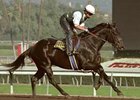 Classic Winner Sarava's First Winner Classic Winner Sarava's First Winner