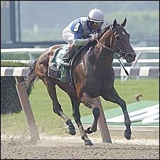 Aldebaran Ends Layoff in Forego Aldebaran Ends Layoff in Forego