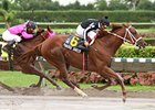 Paradise Dancer finished 2nd in last year's running of the Kenny Noe.