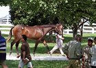 Keeneland's Sept. 15 Session Posts Huge Gains Keeneland's Sept. 15 Session Posts Huge Gains