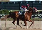 Etched pulls off an impressive victory in the Nashua.