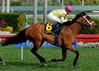 Stradivinsky Captures Gulfstream Turf Sprint Stradivinsky Captures Gulfstream Turf Sprint