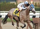 Pocus Hocus comes from behind to win the Alarm, Saturday at Aqueduct.