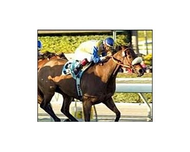 The Tin Man, with Victor Espinoza up, wins the San Marcos Stakes, Sunday at Santa Anita.