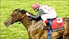 Miesque's Approval Just Gets Up Over Artie Schiller Miesque's Approval Just Gets Up Over Artie Schiller