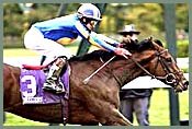 Johannesburg Retired, to Stand at Ashford Johannesburg Retired, to Stand at Ashford