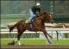 Congaree, worked Sunday in preparation for the Santa Anita Handicap.