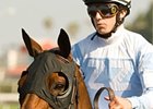 Ball Four is one of five feature retirees.