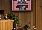 Hip 72 sold for $925,000 at the Keeneland September Sale.