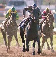 Louisiana Derby Winner Mighty Retired Louisiana Derby Winner Mighty Retired