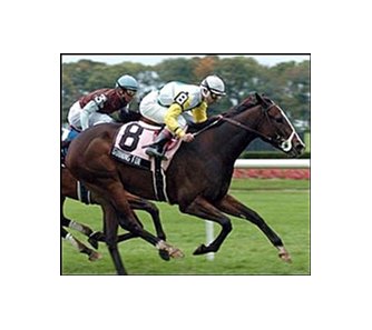 Gunning For (8) captures the Lawrence Realization at Belmont Park.