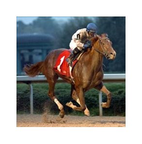 Lawyer Ron advances Derby argument with decisive Rebel win.
