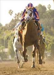 Rags to Riches Won't Run in Santa Anita Derby Rags to Riches Won't Run in Santa Anita Derby