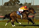 Tuscan Evening was assigned top weight of 121 pounds for the Monrovia.<br><a target="blank" href="http://www.bloodhorse.com/horse-racing/photo-store?ref=http%3A%2F%2Fpictopia.com%2Fperl%2Fgal%3Fprovider_id%3D368%26ptp_photo_id%3D8320304%26ref%3Dstory">Order This Photo</a>