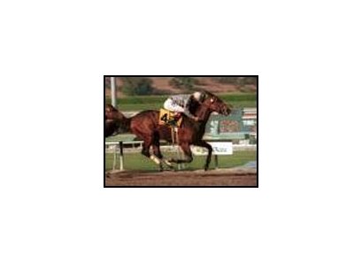 Freedom Crest posted a stunning upset victory in the Goodwood Breeders' Cup.