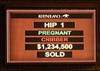 Too Much of a Good Thing? Keeneland Sale Opens with Quality <i>and</i> Quantity Too Much of a Good Thing? Keeneland Sale Opens with Quality <i>and</i> Quantity