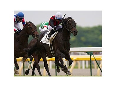 Eishin Flash scored an upset victory in the Japanese Derby at Tokyo Racecourse. <br><a target="blank" href="http://www.bloodhorse.com/horse-racing/photo-store?ref=http%3A%2F%2Fpictopia.com%2Fperl%2Fgal%3Fprovider_id%3D368%26ptp_photo_id%3D9025499%26ref%3Dstory">Order This Photo</a>