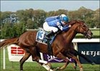 Ashkal Way takes Kelso Breeders' Cup at the wire.<br><a target="blank" href="http://www.bloodhorse.com/horse-racing/photo-store?ref=http%3A%2F%2Fpictopia.com%2Fperl%2Fgal%3Fgallery_id%3D6823%26process%3Dgallery%26provider_id%3D368%26ptp_photo_id%3D576686%26sequencenum%3D%26page%3D">Order This Photo</a>