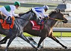 Free Flying Soul has four stakes wins to her credit.