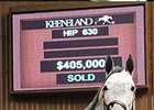 Hip 630 sold for $405,000 at the Keeneland January Sale.