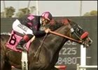 Lava Man seeks a repeat of this victory in the Whittingham.