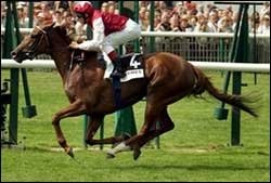 West Wind Breezes to French Oaks Victory West Wind Breezes to French Oaks Victory