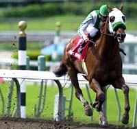 Steve Haskin's April 9 Derby Report: Point Given Nears Perfection Steve Haskin's April 9 Derby Report: Point Given Nears Perfection