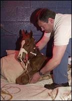 Excessive Foal Loss Great Concern to Central Kentucky Farms Excessive Foal Loss Great Concern to Central Kentucky Farms