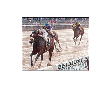Iron Deputy beats a select cast in the Brooklyn, as Volponi runs second, Saarland third.