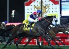 South Africa's 4-year-old Jay Peg sets a new course record as he fights back challenges to win the Dubai Duty Free.