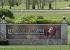 Keeneland Juvenile Sale Has Good Vibes Keeneland Juvenile Sale Has Good Vibes